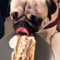 ooclaudizzle @ooclaudizzle profile image