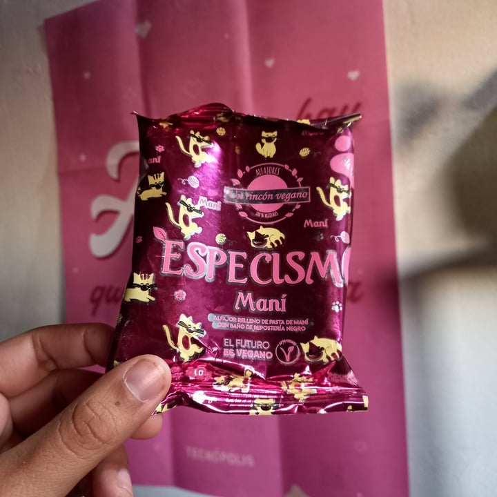 review photo of Un Rincón Vegano Alfajor de maní y chocolate shared by @nicoleolivera on 19 Aug 2022 - review