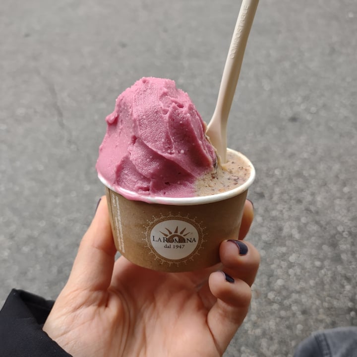 Gelateria La Romana Trento, Italy Gelato Crumble pralinato alla