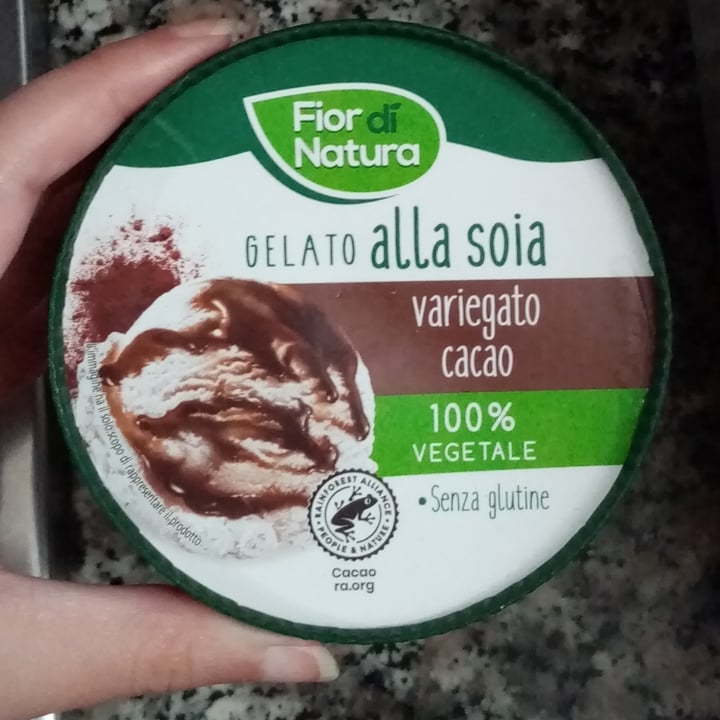 photo of Fior di Natura gelato alla soia variegato al cacao shared by @demenzia89 on  20 Jul 2022 - review