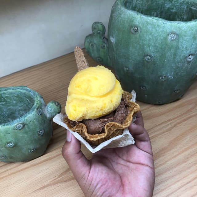Photo of the dish “Helado De Mango Y Chocolate”