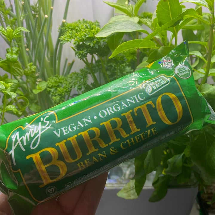 photo of Amy’s Amy’s Gluten Free Non-Dairy Organic Burrito with Beans & Rice shared by @sadmantha on  09 Mar 2021 - review