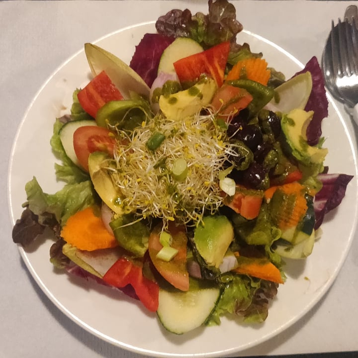 photo of Veggie Garden Ensalada shared by @joxi on  31 Aug 2021 - review