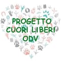 @progettocuoriliberi profile image