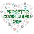 progettocuoriliberi @progettocuoriliberi profile image