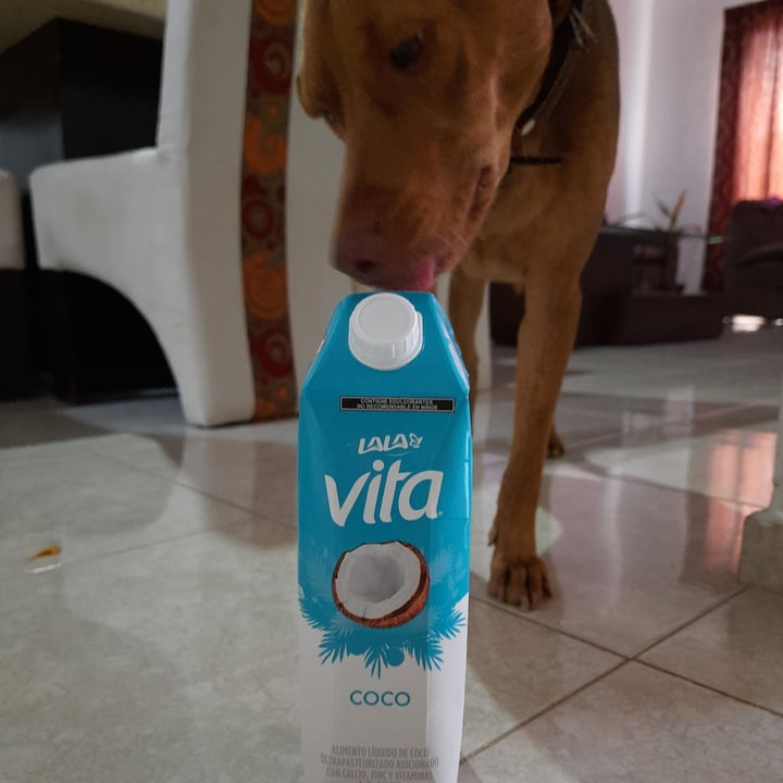 photo of Vita LALA Lala Vita Coco shared by @kariiflores on  26 Jun 2021 - review