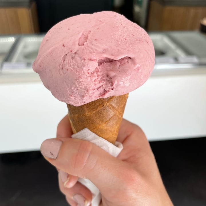 photo of Unframed Ice Cream Raspberry & Coconut Ice-Cream shared by @clarevandeleur on  16 Jan 2022 - review