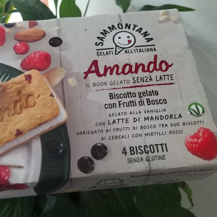photo of Sammontana Biscotto Gelato Con Frutti Di Bosco shared by @gsll on  23 May 2022 - review