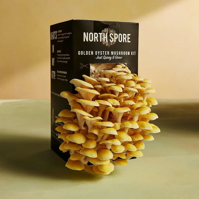 mushrooms