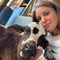 @camillelevi profile image
