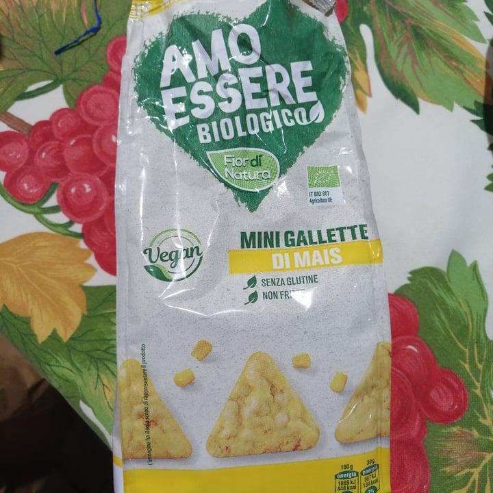 review photo of Fior di Natura Gallette di mais shared by @morwanneg on 10 Dec 2021 - review