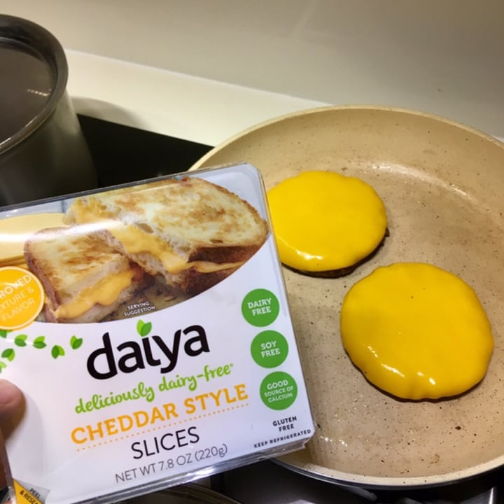 photo of Daiya Cheddar Style Slices shared by @vikas on  02 Mar 2019 - review
