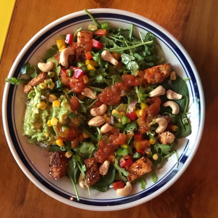photo of Shake Farm Mexican Salad shared by @vikas on  04 Apr 2019 - review