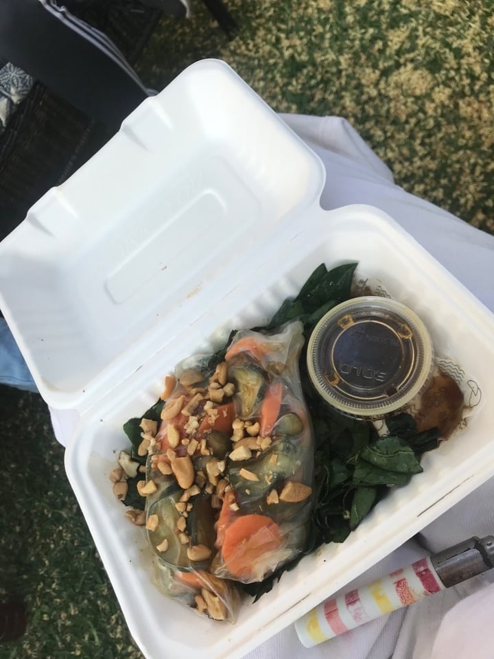 photo of Sanopecado Wrap Vegano shared by @giulianna on  28 Feb 2020 - review