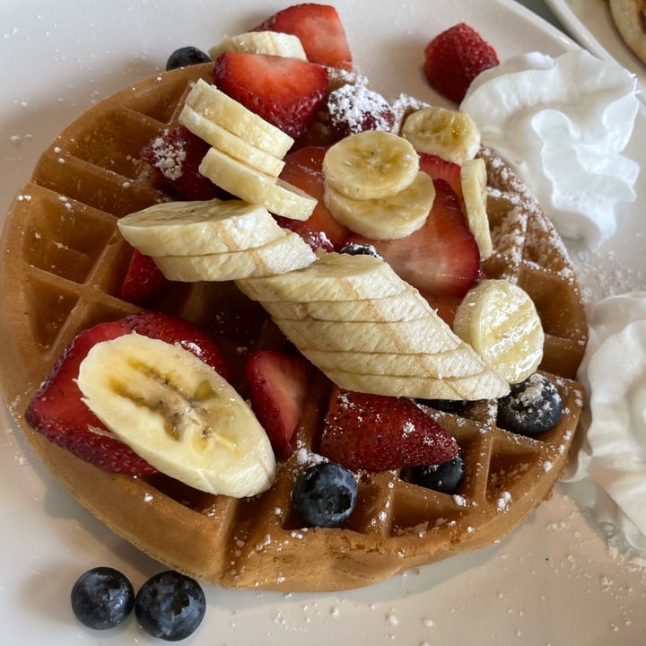 photo of Evviva Breakfast and Lunch Vegan Waffle shared by @mariajamison on  07 Apr 2022 - review