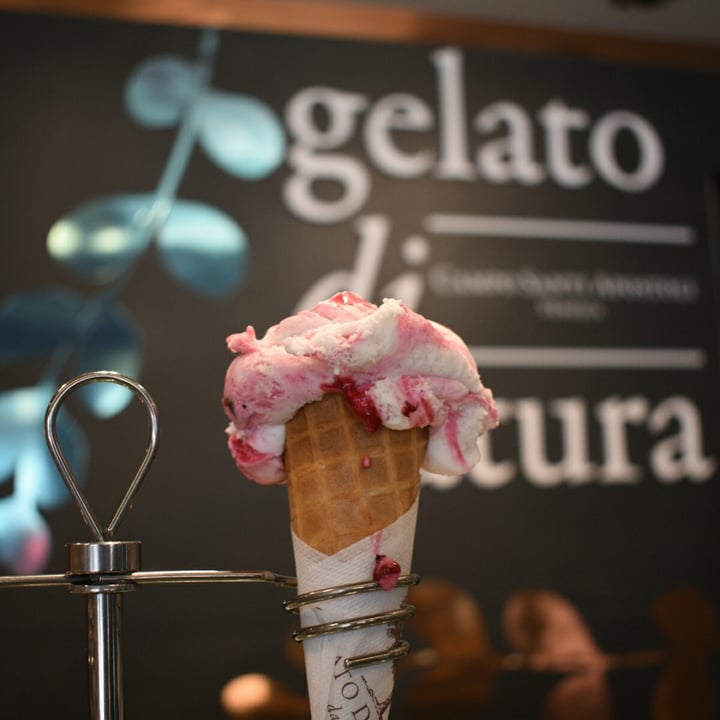 review photo of Gelato di Natura Gelato all'amarena shared by @myvegantrips on 16 Aug 2020 - review