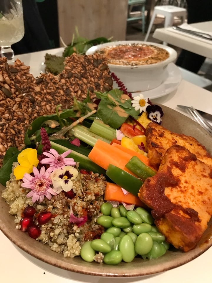 photo of Stem + Glory King st Yogi Bowl shared by @camveg2020 on  12 Jan 2020 - review