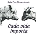 rokeenea @rokeenea profile image