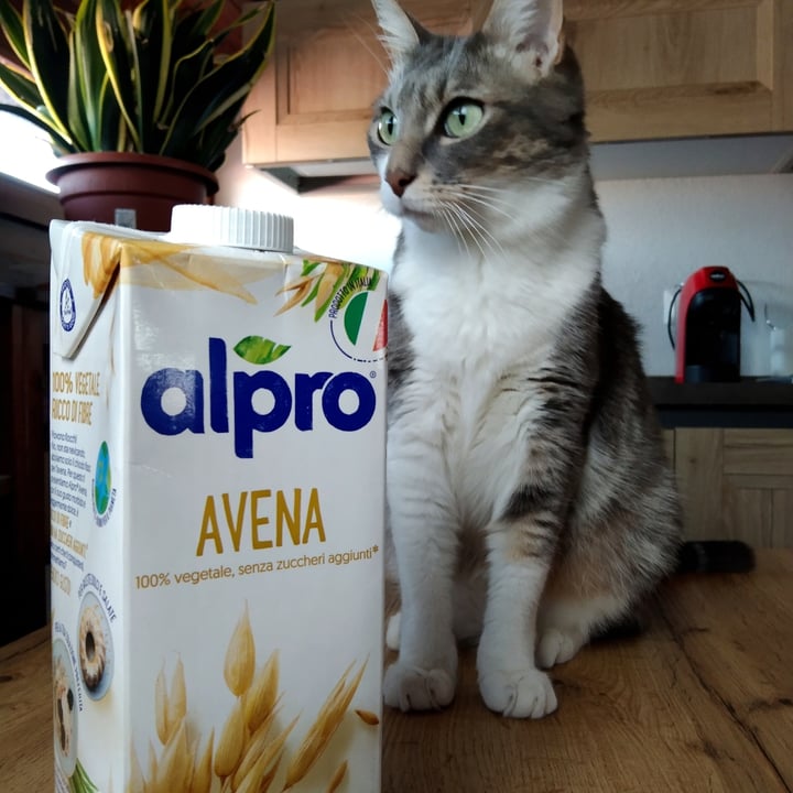 photo of Alpro Alpro All' Avena shared by @cami90 on  14 Oct 2022 - review
