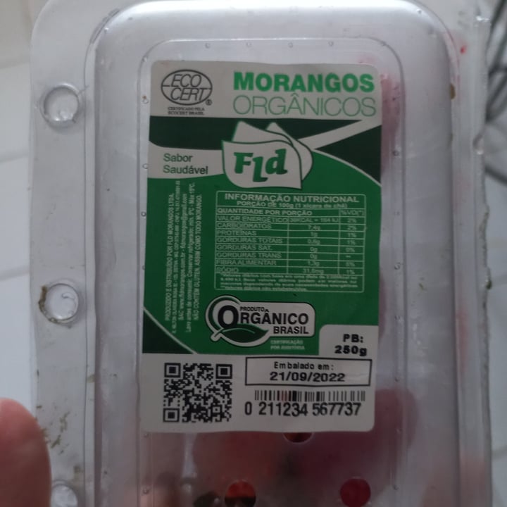 photo of fld Morango shared by @kellycb on  30 Sep 2022 - review