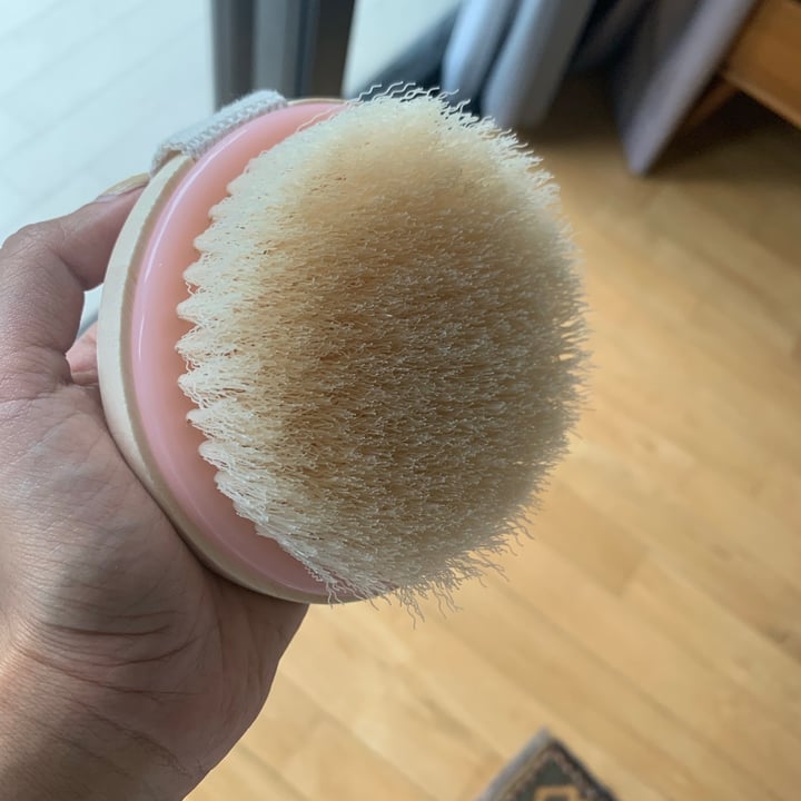 photo of EcoTools Dry brush shared by @swetasahu on  15 Jul 2020 - review