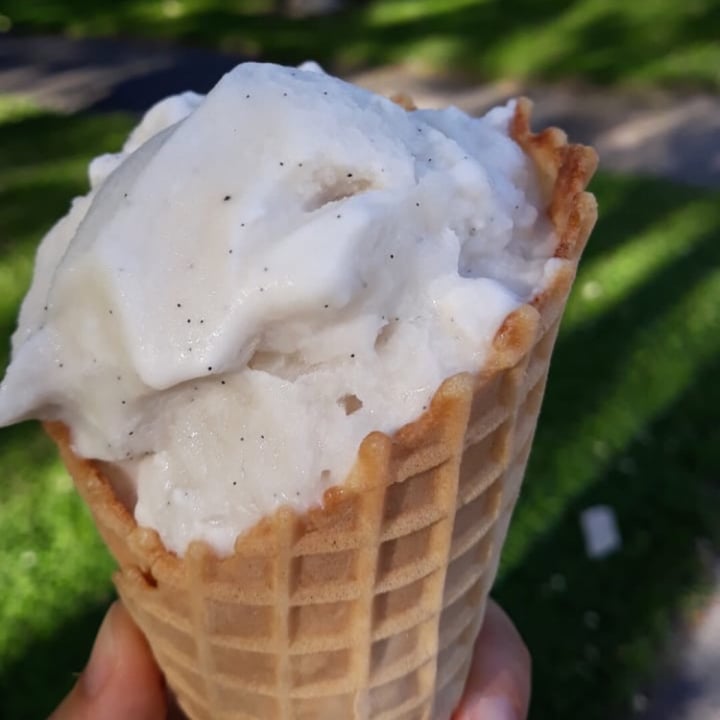 review photo of Nancy's Of Woodstock - Artisanal Creamery Dairy Free Vanilla Ice cream shared by @irlmonkey on 25 Sep 2019 - review