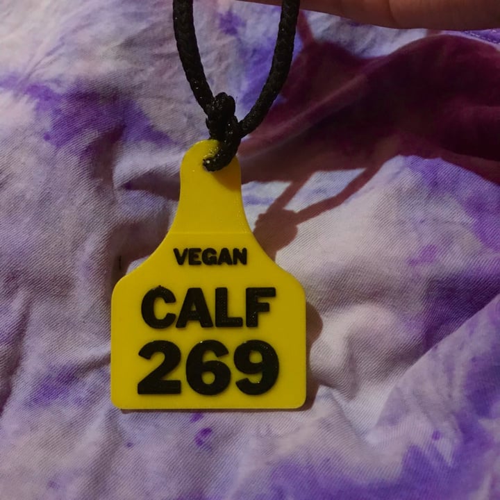 photo of Caravana 269 Caravana Vegan Calf 269 shared by @astridrojas on  12 Jun 2021 - review