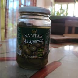 Santar