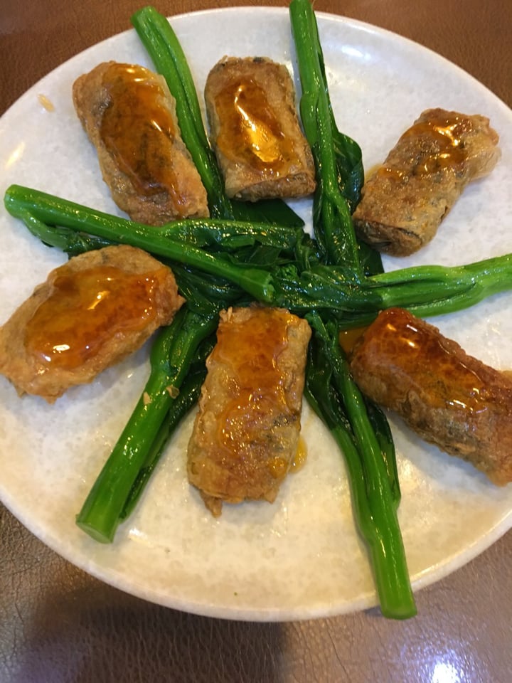 photo of Veggie Family Dumplings w Woodesr fungus shared by @bananawhirl on  22 May 2019 - review