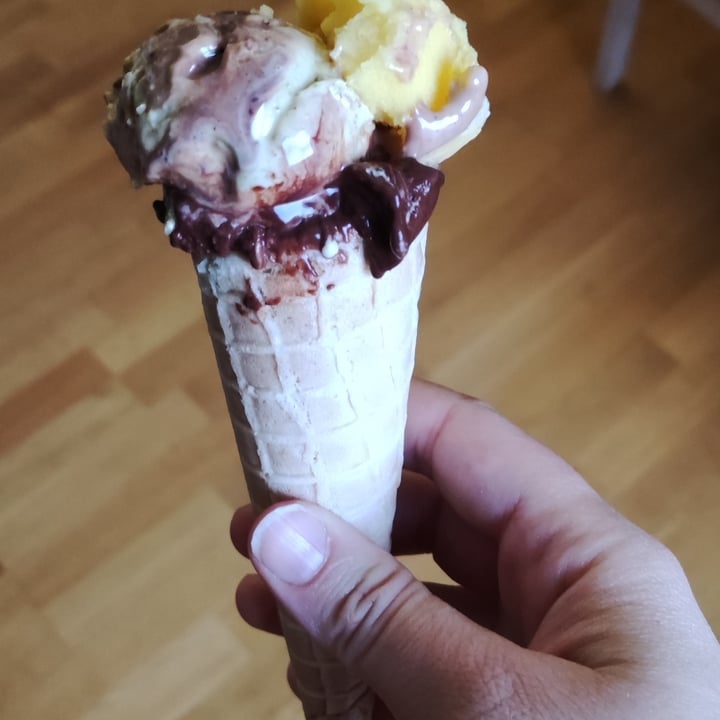 review photo of Stefino Organic Gelato gelato vegano shared by @ilax on 15 Jun 2022 - review