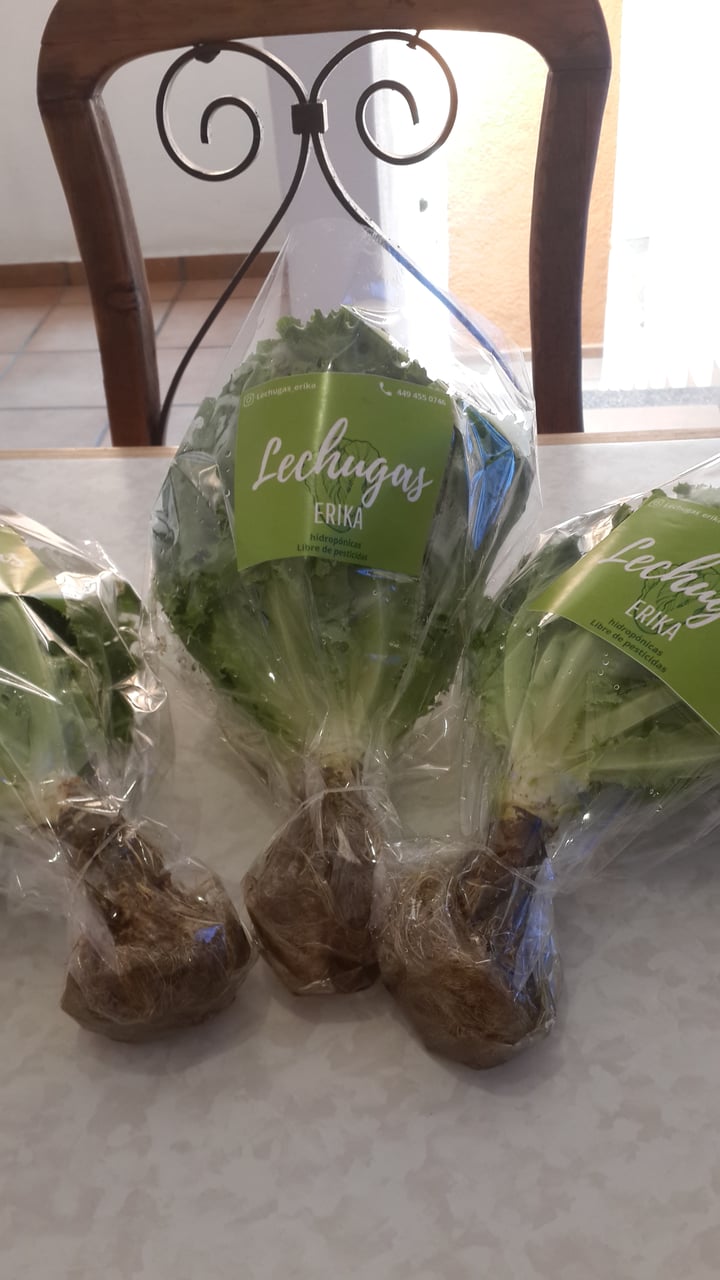 review photo of Lechugas Erika Lechugas Erika shared by @chumis2020 on 18 Apr 2021 - review