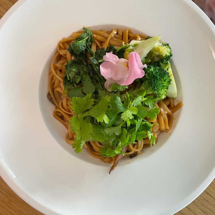 photo of Plant Cafe Dragon Udon shared by @passportvegan on  10 Jan 2022 - review