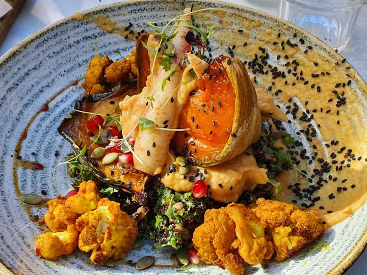 review photo of Henry Lee's Redfern May's Garden shared by @fiore on 15 Jun 2019 - review