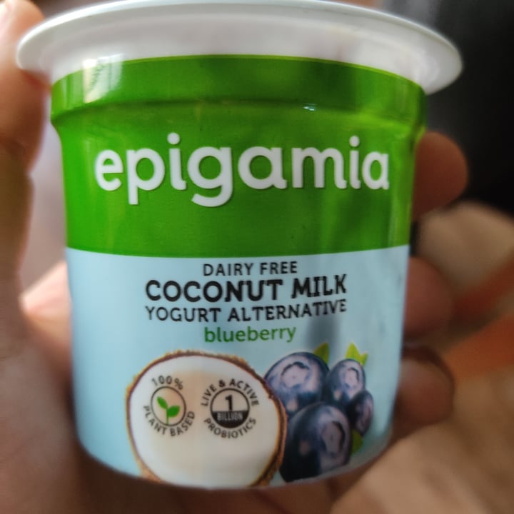 review photo of Epigamia Coconut Milk Yoghurt Blueberry shared by @veera on 31 Dec 2020 - review