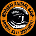 mumbaianimalsave @mumbaianimalsave profile image