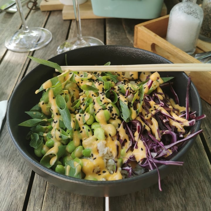 photo of Luv Beachclub Schönbrunn Poke Bowl shared by @kros on  21 Aug 2021 - review