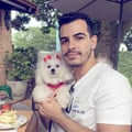 vinivettorazzo @vinivettorazzo profile image