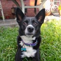 denisehour @denisehour profile image