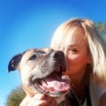 kate71 @kate71 profile image