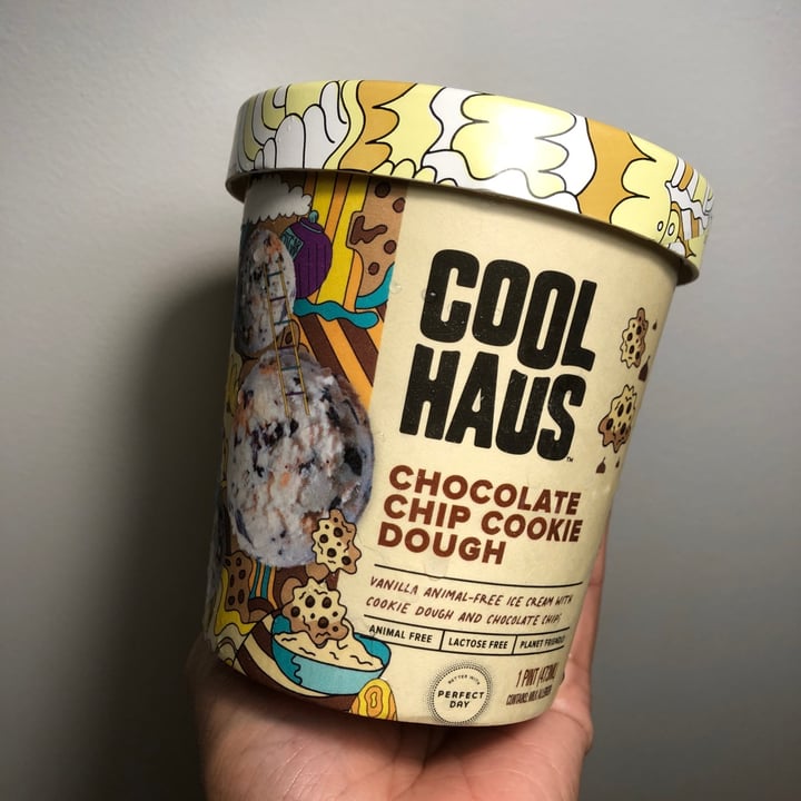 photo of COOL HAUS Chocolate Chip Cookie Dough Ice Cream shared by @skinnykatwoman on  03 Sep 2022 - review