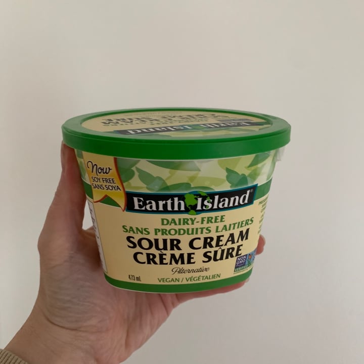 review photo of Earth Island Sour Cream shared by @lndsytrnr on 26 Jun 2021 - review