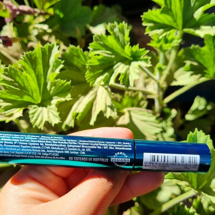 review photo of Petrizzio Máscara De Pestañas Explosive shared by @bvrbislot on 17 Apr 2022 - review