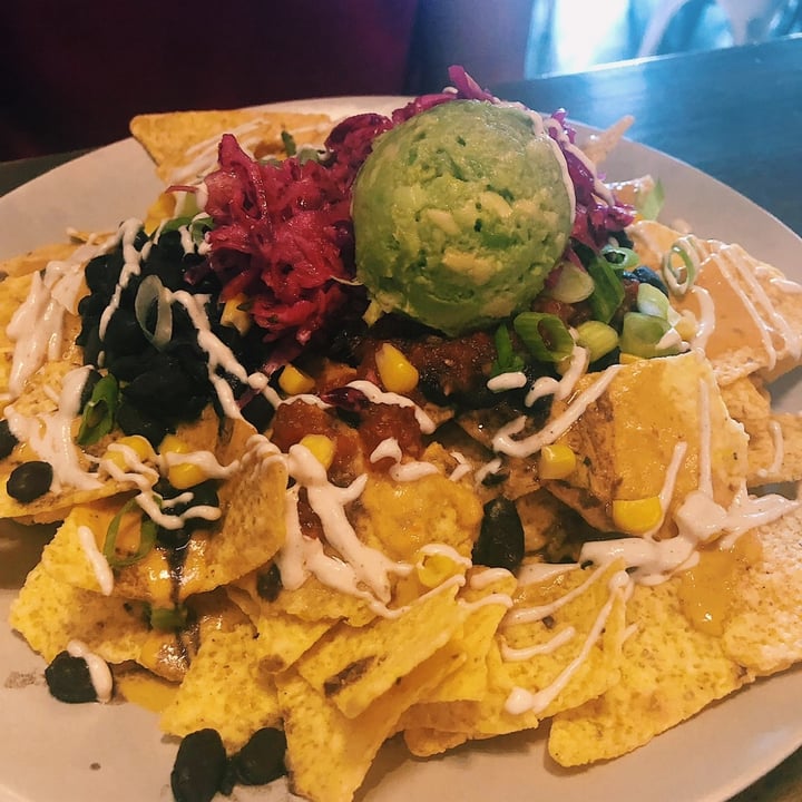 photo of Dandelion Communitea Cafe Nachos Libre (Loaded) shared by @audreymcanally on  20 Mar 2022 - review