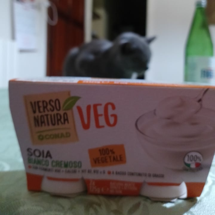photo of yoghurt verso natura veg verso natura veg yoghirt shared by @mariavic on  10 Jun 2022 - review
