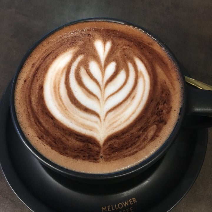 photo of Mellower Coffee Singapore Caffe Mocha (Veganized) shared by @herbimetal on  14 May 2019 - review