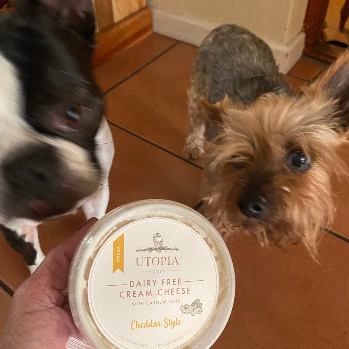 Utopia Foods Cheddar flavoured cream cheese Reviews abillion