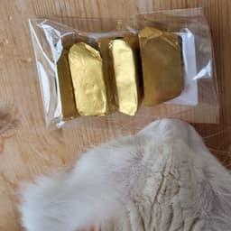 Oliva