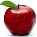 marlenesevilla @marlenesevilla profile image