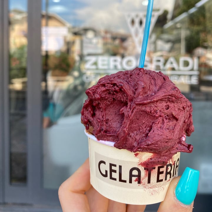 photo of Gelateria Zero Degrees gusto mora shared by @aurory on  13 Jul 2022 - review