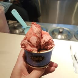 Freddo
